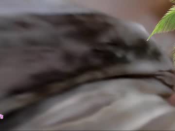 cam girl porn amyvalentine image #5051770