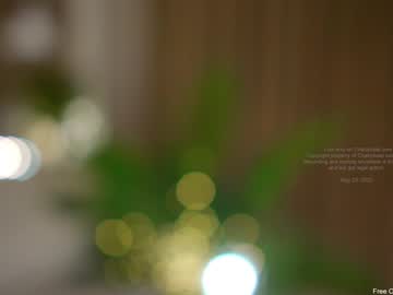 cam girl porn _djad_ image #1899312