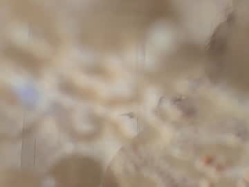 cam girl porn emilybatee image #4020989