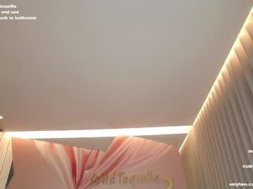 cam girl porn wildtequilla image #4898494