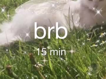 cam girl porn le_chan image #2336634