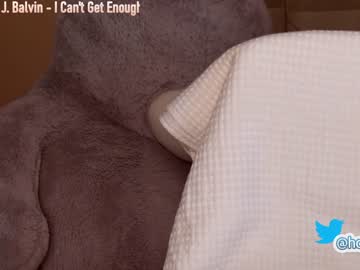 cam girl porn hollyextra image #1696952