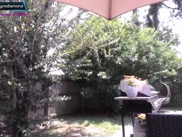 cam girl porn ashlyndiamond image #4576531