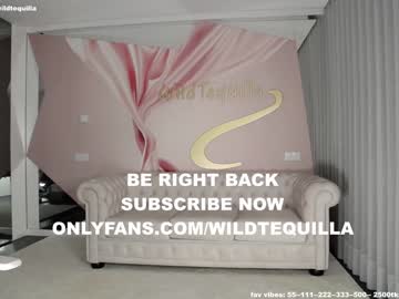 cam girl porn wildtequilla image #2924201