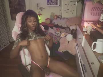 cam tranny porn vanniall image #1517175