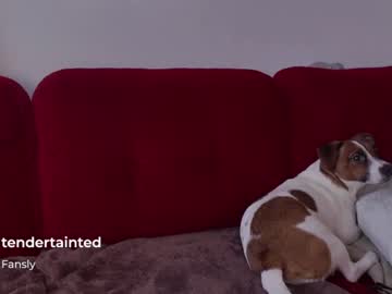 cam girl porn tendertainted image #1220708