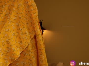 cam girl porn shena_nomy image #6735963