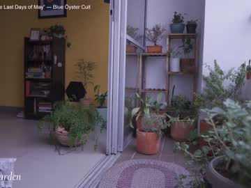 cam girl porn maria_alfonsina_ image #5055230