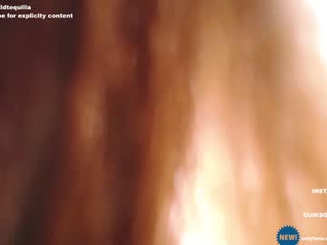 cam girl porn wildtequilla image #4199430