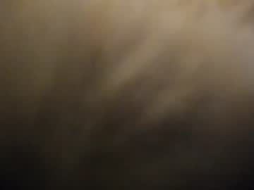 cam tranny porn sofiacake image #4459853