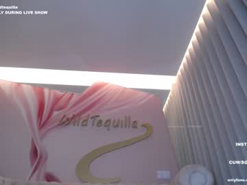 cam girl porn wildtequilla image #5499999