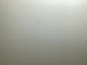 cam man porn 69_aalpha_m0delfforyou1 image #3660068