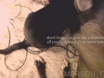 cam girl porn emersoncane image #1879237