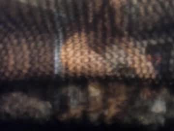 cam girl porn neferpita image #4230914