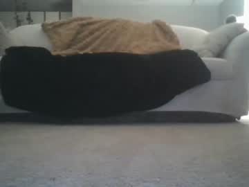 cam girl porn shyandyours image #3400633