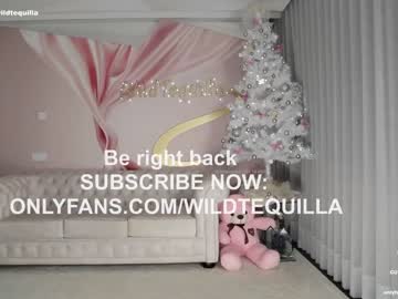 cam girl porn wildtequilla image #5853514