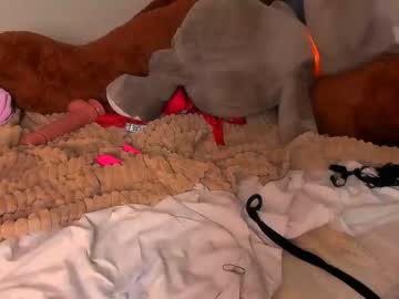 cam girl porn _elisfox image #1415244