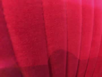 cam girl porn ehotlovea image #6100861