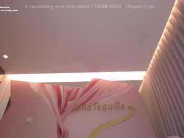 cam girl porn wildtequilla image #2439120