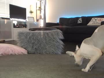 cam girl porn skyewatson image #1921651
