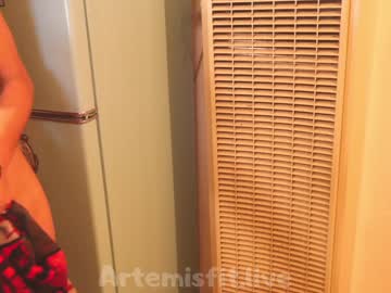 cam girl porn artemisfit image #348643