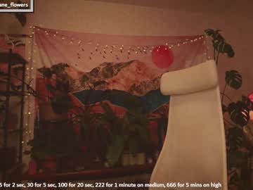 cam girl porn jane_flowers image #5055547