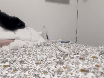 cam girl porn sluttylilsister image #3937616
