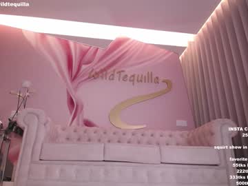 cam girl porn wildtequilla image #3747851