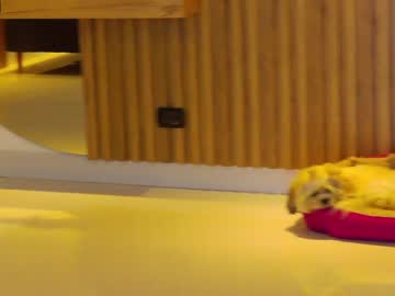 cam girl porn letiziafulkers1 image #2772504