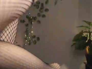 cam girl porn daisys_pleasureisland image #1220619