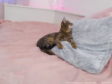 cam girl porn ambertan1 image #894264