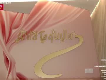 cam girl porn wildtequilla image #3392599