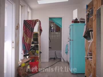 cam girl porn artemisfit image #95567